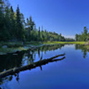 Meet your Posher, Richard